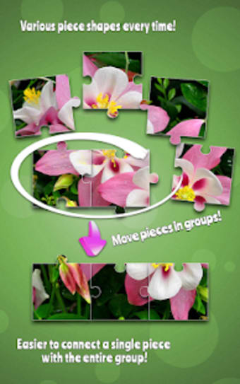 Flowers Jigsaw Puzzle Game