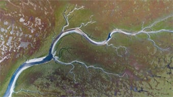 River Delta PREMIUM