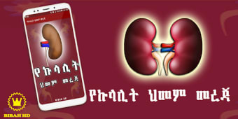 Amharic Kidney Disease