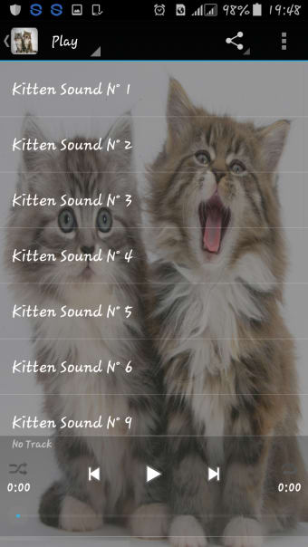 Kitten Sounds