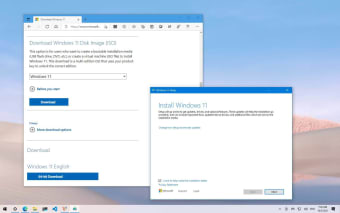Windows 11 Disk Image (ISO)