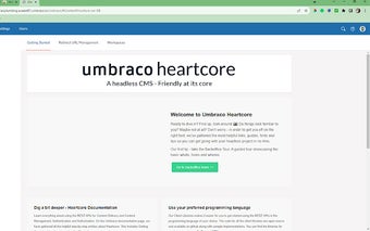 Umbraco Enviroment indicator