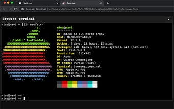 Browser terminal