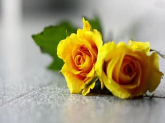 3D Yellow Flower 2020