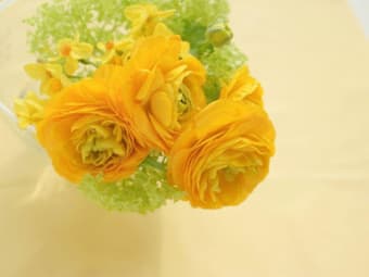 3D Yellow Flower 2020