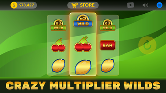 Wild Fruit Slot