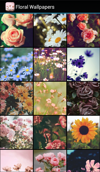 Floral Wallpapers