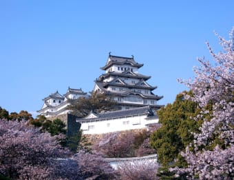 日本の桜テーマ