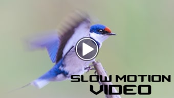 Slow Motion Video Camera