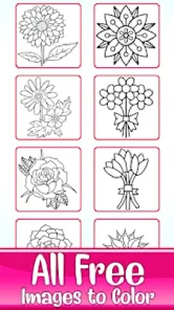 Learn to Draw Flowers