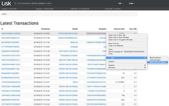 Lisk.support Utility Tool