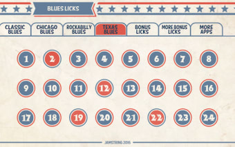 144 Blues Guitar Licks: Pro