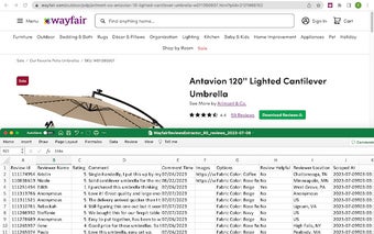 Wayfair Reviews Extractor