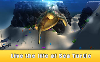 Ocean Turtle Simulator 3D