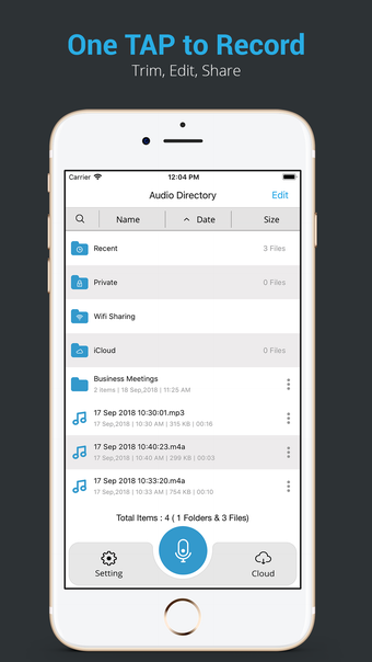 Recorder Pro : Voice Memo