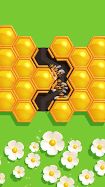 Hexa Bees