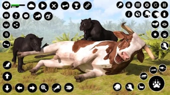 Panther Games Animal Sim 3D
