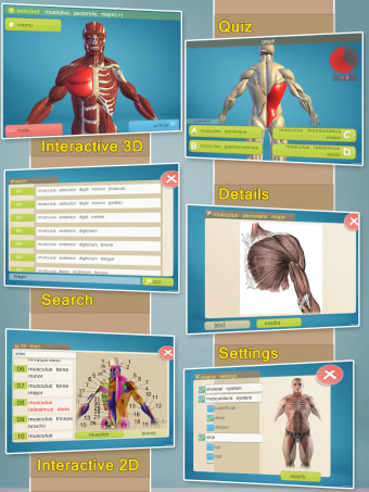 Easy Anatomy 3D - learn anatom