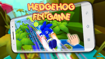 Fly Hedgehog Playtime