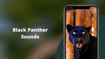 Black Panther Sounds