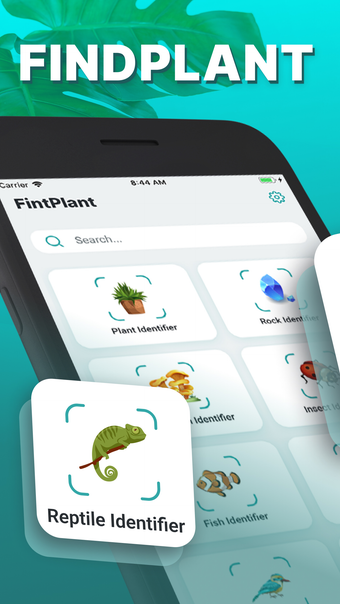 Find Plant: Plant Identifier