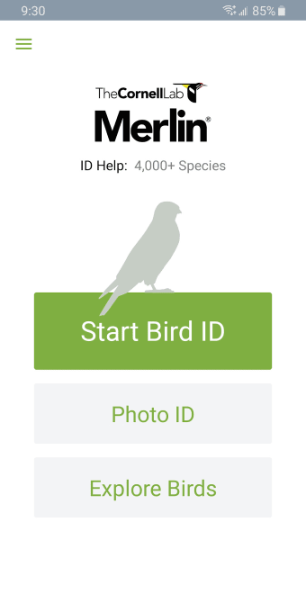 Merlin Bird ID By Cornell Lab
