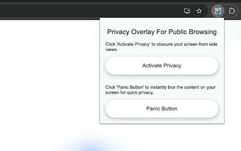 Privacy Overlay for Public Browsing