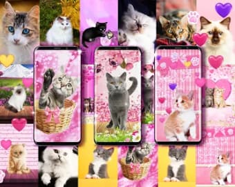 Cute pink kitty live wallpaper