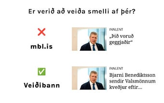 Veiðibann