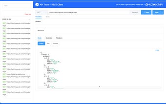 API Tester - REST Client Testing Tool