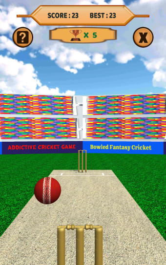 Bowled 3D - Cricket Game