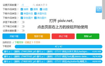 Powerful Pixiv Downloader