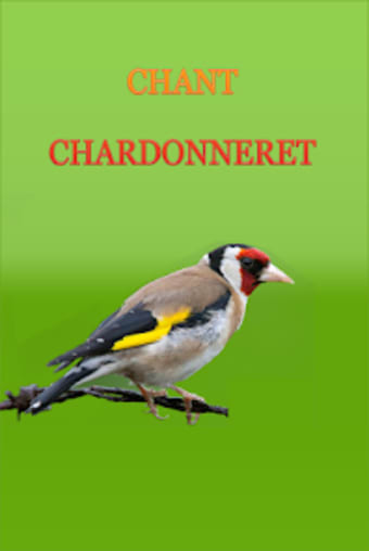 European goldfinch song