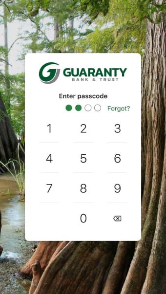 Guaranty Mobile Access
