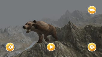 Real Bear Simulator