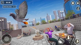 Pigeon Bird Flying Simulator