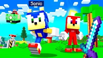 Sonic the Hedgehog Minecraft