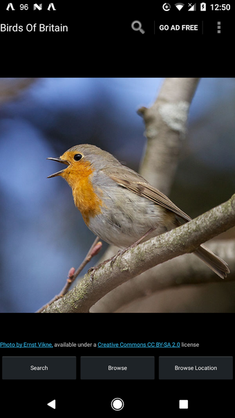 Birds Of Britain