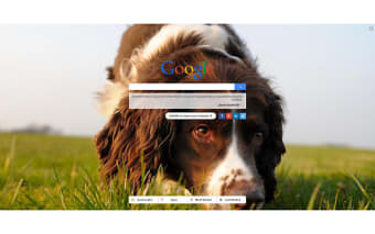 Dogs New Tab
