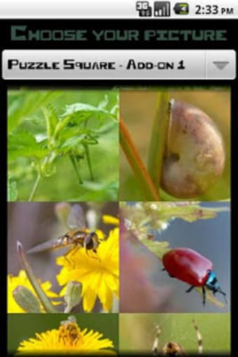 PuzzleSquare - Pack 1