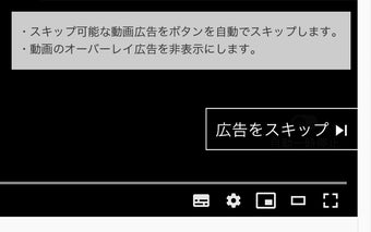 YT Ad Skip