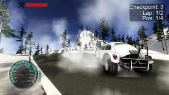 Looney Rally - racing rally game