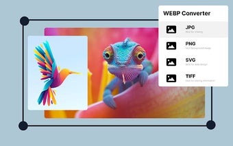 Image to WEBP Converter