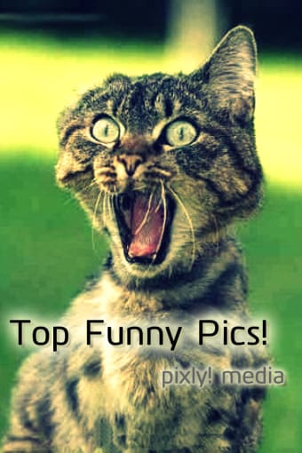 Top Funny Pics