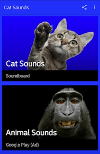 Cat Sounds Ringtones