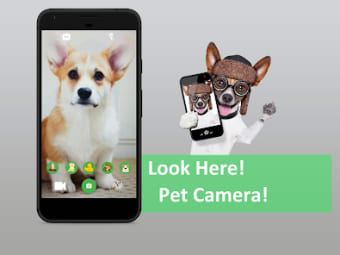 Look Here - Pet Camera