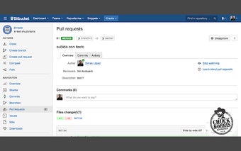 Chuck Norris Approved Pull Requests