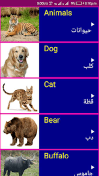 Learn Spoken English From Arabic