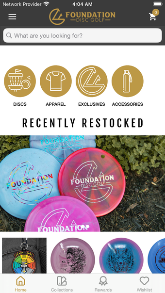 Foundation Disc Golf