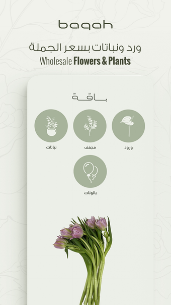 Baqah - Flowers  Plants